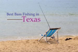 Best Bass Fishing in Texas